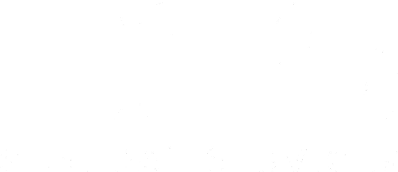 dgs_logo_white2